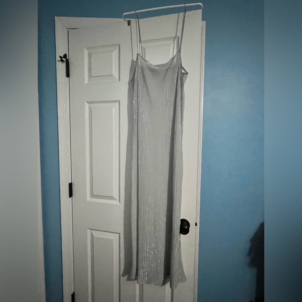 Sheer Zara Silver Dress - Picture 3 of 4